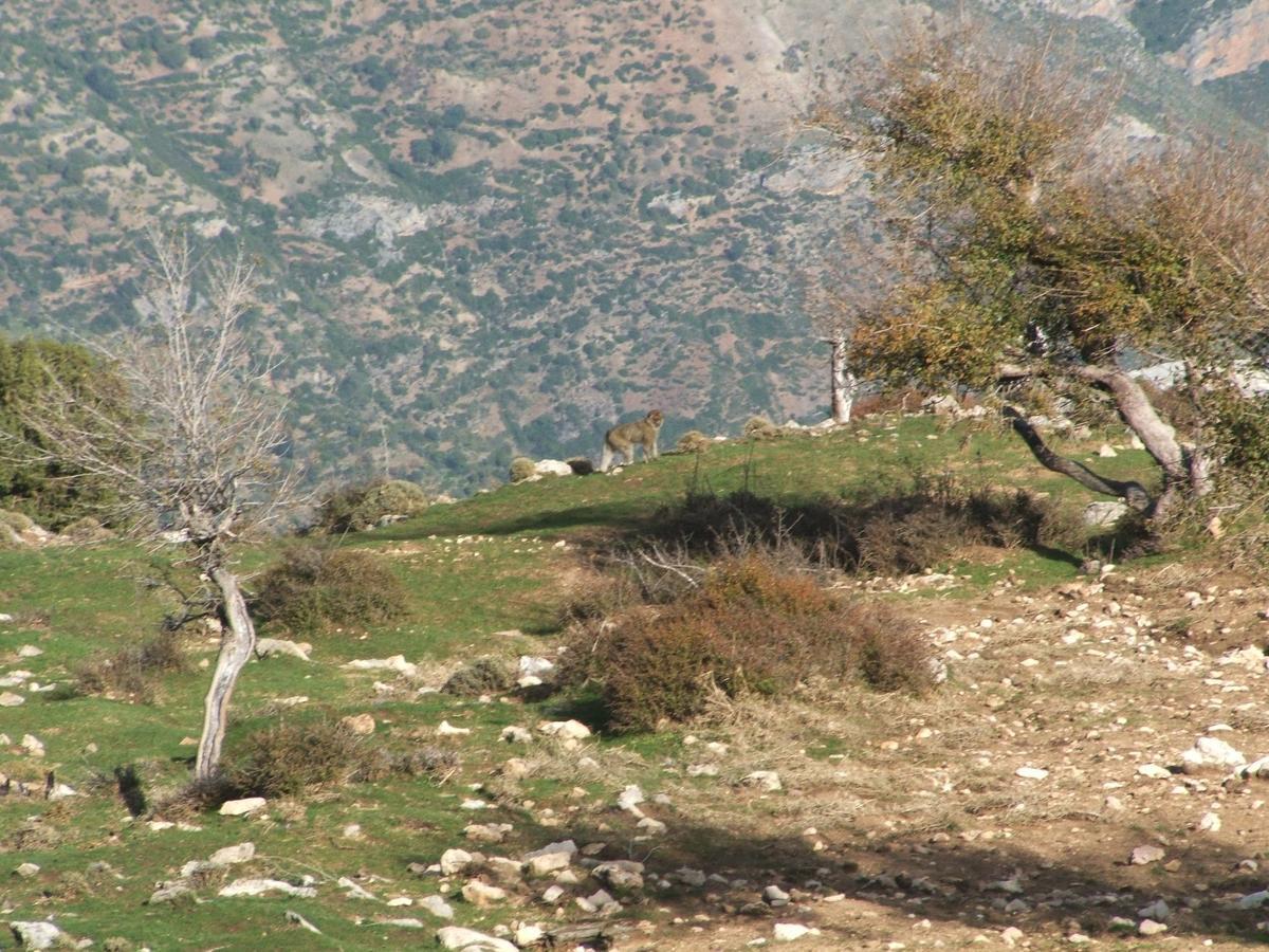 Ostello Caiat Lounge Refuge Taghzoute Esterno foto